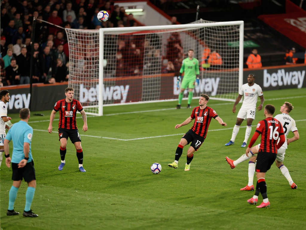 无疑为我们 无疑为我们