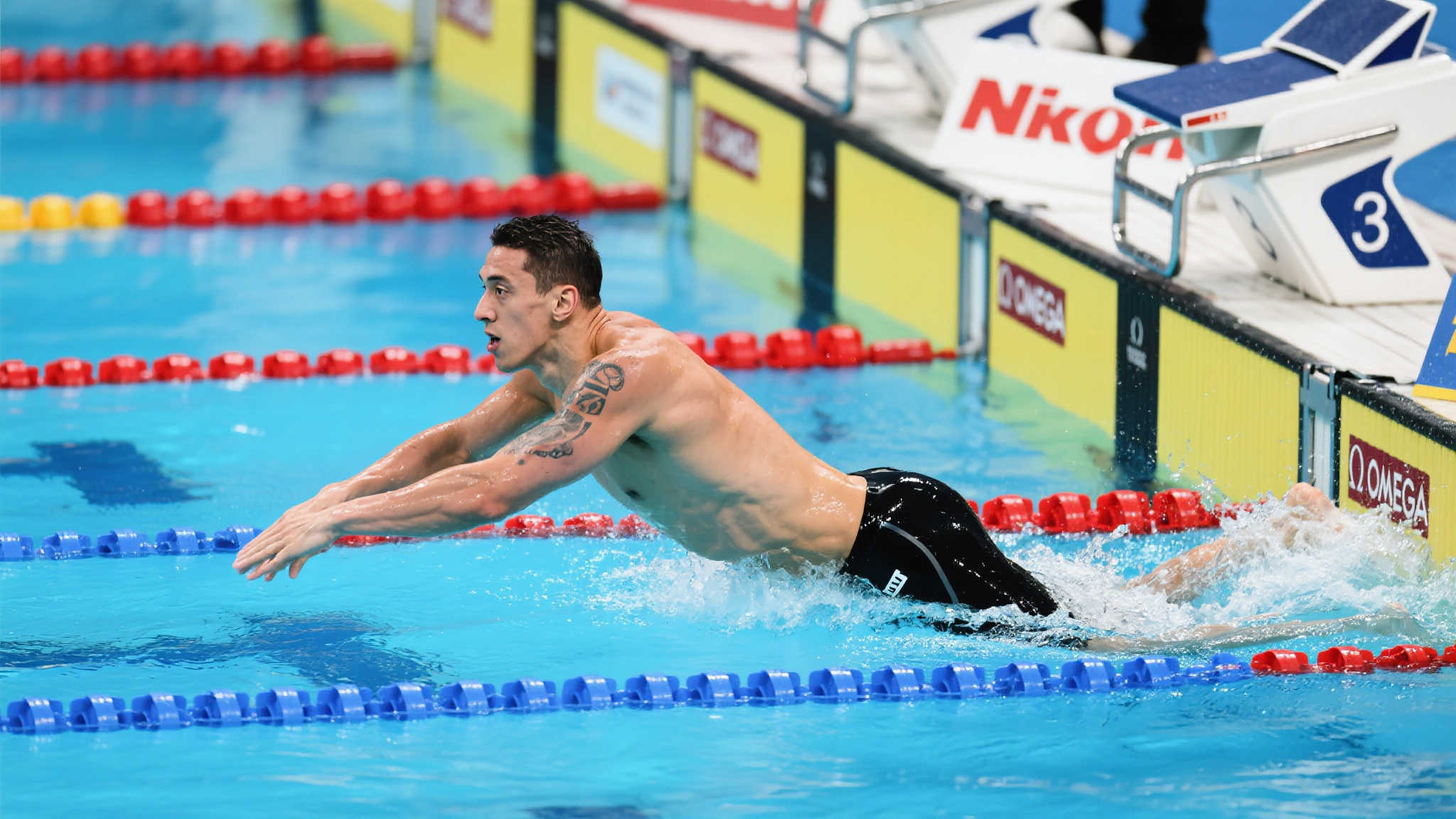 正是我们与 正是我们与